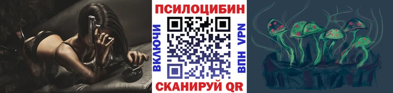 Галлюциногенные грибы Psilocybine cubensis  Судак 